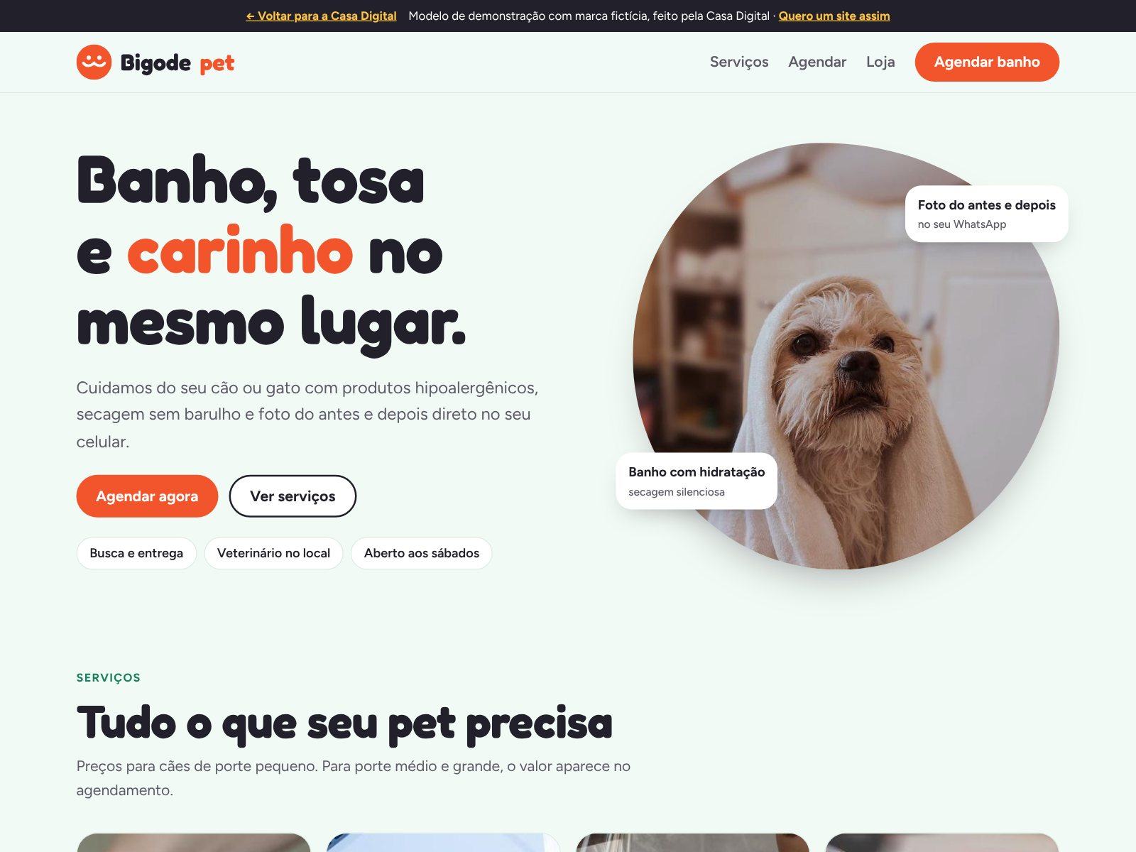 Tela do site Bigode Pet